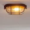 Catawba Ceiling Light rust-coloured, 1-light source