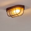 Catawba Ceiling Light rust-coloured, 1-light source