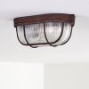Catawba Ceiling Light rust-coloured, 1-light source