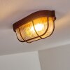 Catawba Ceiling Light rust-coloured, 1-light source
