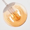Globe pendant light Gastor adjustable during installation, smoke, amber, clear glass shades