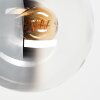 Modern Globe Wall Light Gastor with round smoke and clear glass shade