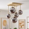 Modern cluster ceiling light Chehalis with five staggered smoke glass shades
