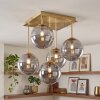 Cluster ceiling light Chehalis with five smoke-coloured glass shades, modern brass frame