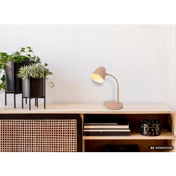 NOWA Jason Modern Table Lamp for Reading E14 25 W with Cord Switch, 40 cm, Ø 15 cm