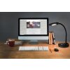 NOWA Carmen LED desk lamp for office, modern curved reading lamp with round lamp head