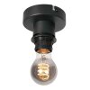 Steinhauer Bloeba modern ceiling light, open cage ceiling light, E27 ø 20 cm