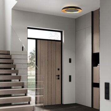 Steinhauer LED ceiling light Golden Veil, round ring, 2700 Kelvin warm-white dimmable