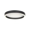 Steinhauer Ringlux round LED flush-mount ceiling light, modern, 30 cm, 2-light, 2500 lm, 2700 K
