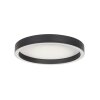Steinhauer Ringlux round LED flush-mount ceiling light, modern, 30 cm, 2-light, 2500 lm, 2700 K