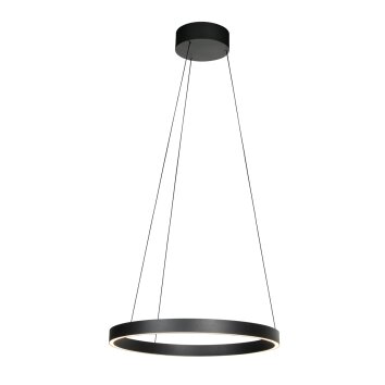 Steinhauer Mykty LED ring pendant light, 2-light, 60 cm, 2700 K, 7800 lm, 30 W