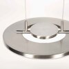 Steinhauer LED Pendant Light Soleil, adjustable, warm white 2700 Kelvin, steel-white shades