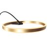 Steinhauer Ringlux LED Modern Arc Floor Lamp with Ring-Shaped Light, 2-Light, Adjustable