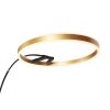 Steinhauer Ringlux LED Modern Arc Floor Lamp with Ring-Shaped Light, 2-Light, Adjustable