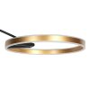 Steinhauer Ringlux LED Modern Arc Floor Lamp with Ring-Shaped Light, 2-Light, Adjustable