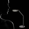 Steinhauer Ringlux LED Reading Floor Lamp for Sofa 2700 Kelvin 1000 Lumen 5 Watt