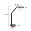 Steinhauer Ringlux LED Reading Floor Lamp for Sofa 2700 Kelvin 1000 Lumen 5 Watt