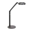 Steinhauer Ringlux LED Reading Floor Lamp for Sofa 2700 Kelvin 1000 Lumen 5 Watt