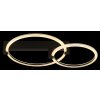 Globo Fletcher LED ring ceiling light 24 W 2550 lm 3000 K, modern flush-mounted