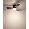 Globo Irwin Ceiling Fan with LED Light and Remote Control 15 Watt 1650 Lumen