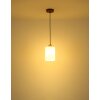 Globo Rowena modern pendant light, dining room pendant light, E27, Ø 15 cm