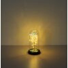 Globo Rosalina LED decorative light rose in glass dome, 20-light, 2900 K