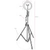 Globo Delgado LED selfie ring light with phone holder for content creation, 63 cm