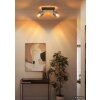 Globo Milley ceiling spotlight bar, dual ceiling spotlight, E27, modern, 2 x 40 W