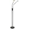 Globo Silvio LED floor lamp, 2-light reading lamp for living room, modern, 173 cm