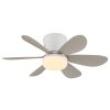 Globo Delores LED ceiling fan with light, 51 cm, 560 lm, 2700-6500 Kelvin, 5 W