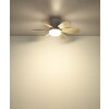 Globo Delores LED ceiling fan with light, 51 cm, 560 lm, 2700-6500 Kelvin, 5 W