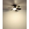 Globo Delores LED ceiling fan with light, modern for living and dining areas