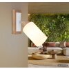 Globo Rowena Wall Light, modern wall lamp for living room, E27 socket, 60 Watt