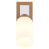 Globo Rowena Wall Light, modern wall lamp for living room, E27 socket, 60 Watt