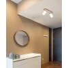 Globo Rowena modern 2-light ceiling light, ceiling spotlight with E27 socket