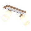 Globo Rowena modern 2-light ceiling light, ceiling spotlight with E27 socket