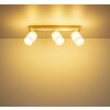 Globo Rowena 3-Light Ceiling Spotlight E27 Modern for Hallway, Kitchen, Dining Room