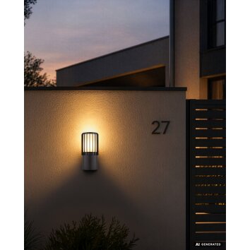 Globo Mervin Outdoor Wall Light, Wall Lantern with Cage Design, E27, 15 Watt