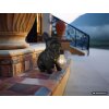 Globo DOGLI Dog Statue Solar Light LED 6W 3000K Decorative Outdoor Path Light