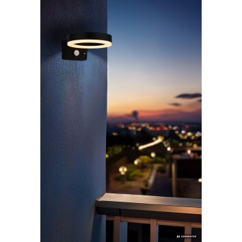 SOLCOR Globo LED Solar Wall Light with Motion Sensor, Modern Outdoor Path Light