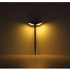 Globo VOTARO LED Outdoor Solar Oval Wall Light with Motion Sensor 3000K 300 lm 7.2W