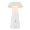 Globo MIRALIE LED Modern Round Solar Garden Light, Solar Path Light for Outdoor Use