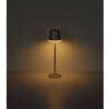 Globo VANNIESO LED Outdoor Solar Table Lamp, Modern Conical Garden Light