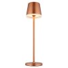 Globo VANNIESO Modern LED Solar Table Lamp, Outdoor Solar Lamp, 3000K 50 lm