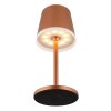 Globo VANNIESO Modern LED Solar Table Lamp, Outdoor Solar Lamp, 3000K 50 lm