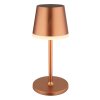 Globo VANNIESO Modern LED Solar Table Lamp, Outdoor Solar Lamp, 3000K 50 lm