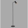 Schöner Wohnen-Kollektion RIK floor lamp, 140 cm, rotatable spotlight, GU10, foot switch