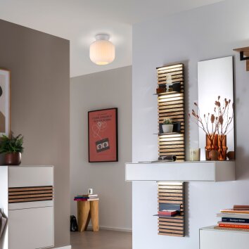 Schöner Wohnen-Kollektion NAMI modern round flush mount wall and ceiling light Ø 20 cm