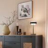 SCHÖNER WOHNEN-Kollektion ELMO LED office table lamp with touch switch, modern