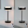 SCHÖNER WOHNEN-Kollektion ELMO LED office table lamp with touch switch, modern